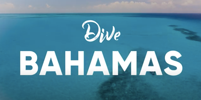 Scuba Diving in the Bahamas